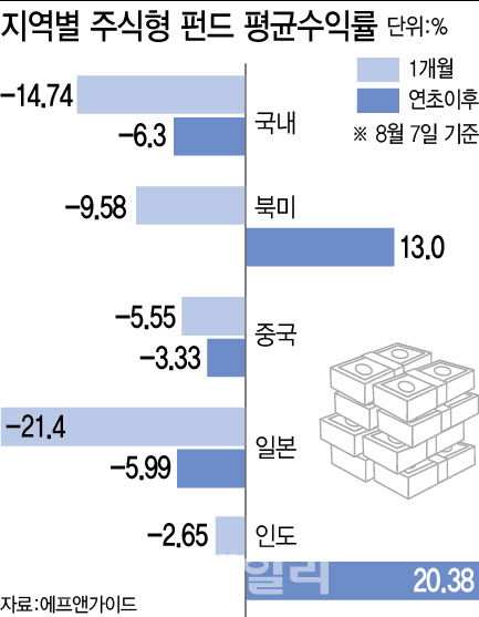 출렁이는 글로벌 속 인도 펀드에는 돈 몰린다고?