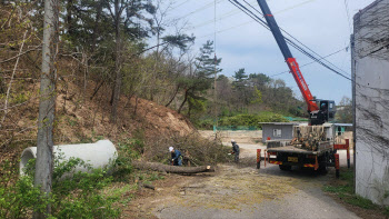 산불예방 위한 선제적 조치, 적극행정 우수사례 선정