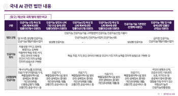 포괄적 AI규제법 제정은 EU 뿐…"韓, 진흥에 초점 맞춰야"