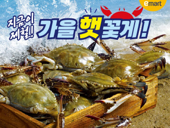 "가을 별미 꽃게 돌아왔다"…가장 저렴한 곳은?