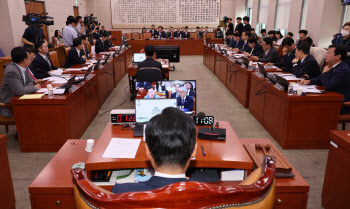 野의원들도 "간첩죄 개정 필요"…법사위, 본격 심의