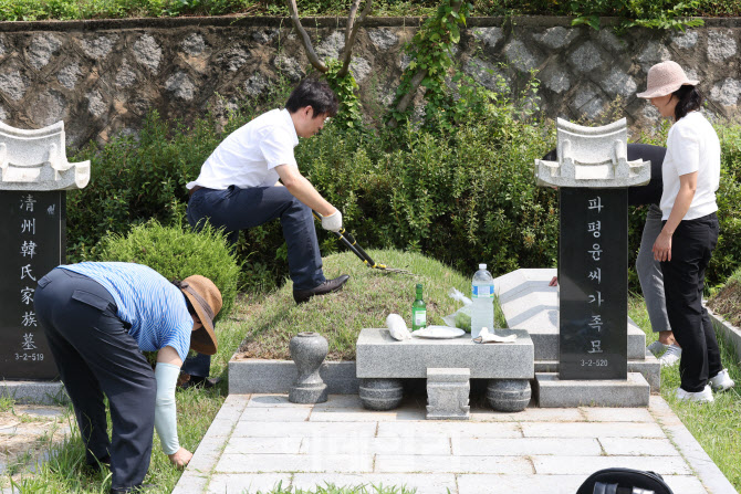 추석 앞두고 묘 잡초 제거                                                                                                                                                                          