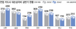 빚폭탄 커진다…카드사 상반기 떼인 돈 2조 훌쩍