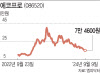 “그때 그 애널이 맞았네”…땅치는 에코프로 열성개미