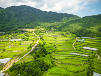 정(情)이 녹아든 길…지리산 둘레길에서 물벼락을 맞다 