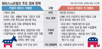 해리스 VS 트럼프 경제정책 비교해보니