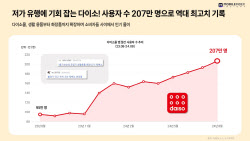 "저렴이가 대세".. 저가 유행에 다이소몰 사용자 ‘역대 최대'	