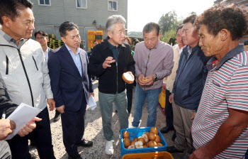 강호동 농협회장, 배 일소 피해현장 방문