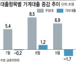 가계대출 안정 때까지 옥죈다…당국, DSR 규제 확대 ‘만지작’