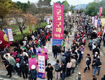 여주 군고구마 기네스 행사