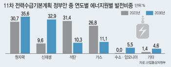 소형원전 4개 담은 11차 전기본 연내 확정