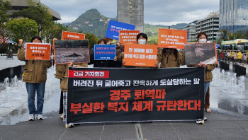 “평생 달리다 오물 속에서 굶어죽는 경주마”…말 보호 법제화 목소리