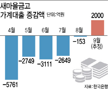 2금융권마저…새마을금고, 유주택자 주담대 막는다(종합)