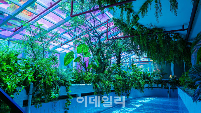 [마켓인]실감형 테마파크 닷밀, 상장 임박…아주IB 잭팟? - 뉴스 썸네일 이미지