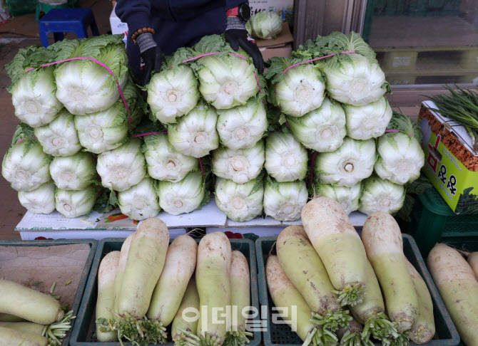  배추 무 가격 다음달 안정될듯..                                                                                                                                                                   