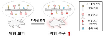 뇌신경세포 조작을 통한 도박중독 조절 가능성 규명