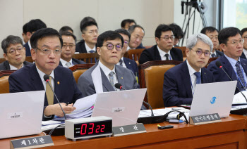 최상목 "금투세 폐지가 맞아 …유예는 불확실성 이연하는 것"