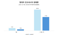 캐즘·中 공세에 현대차 인니 판매 반토막…&quot;하이브리드로 파고 넘는다&quot;