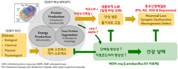 엠디헬스케어,국내최초 세포외소포(EV) 치료제 임상시험계획 승인