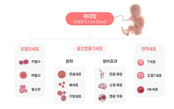 ①생물학적 보험 제대혈, 젊은 부모 ‘출산준비 필수템’으로