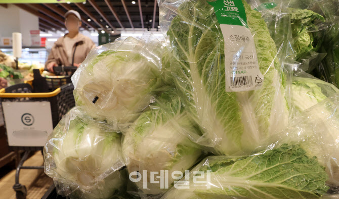 농식품부 “배추 값 3000원대로… 내달 물량 충분해질 것”                                                                                                                                           
