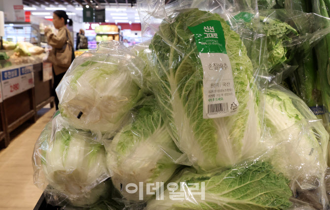 5대 마트 배추 가격 3천 원대로 떨어져                                                                                                                                                              