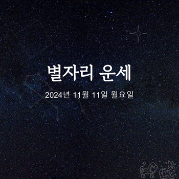 2024년 11월 11일 오늘의 운세