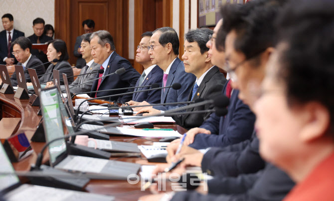 국무회의에서 발언하는 한덕수 총리                                                                                                                                                                 