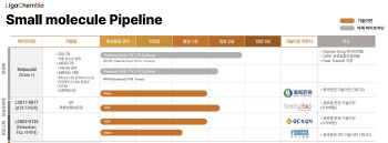 리가켐바이오, 항생제 개발 의미는?…2000억원+α 기대