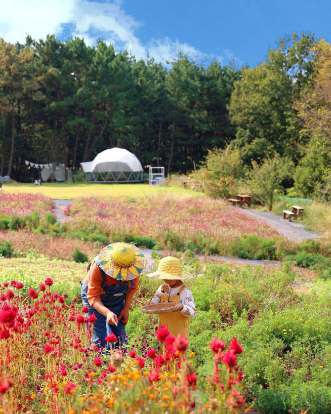 "자연 속 보물 같은 경험"...농촌 체험 플랫폼 '프루떼' [올댓트래블에서... - 뉴스 썸네일 이미지