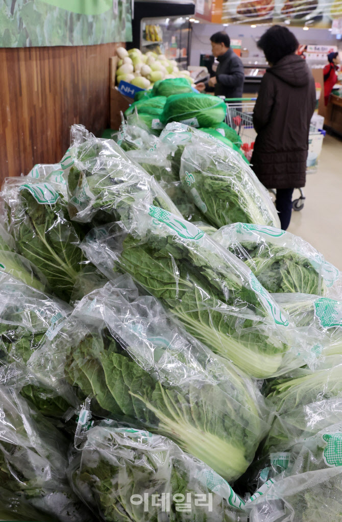 설 앞두고 채소값 급등                                                                                                                                                                             