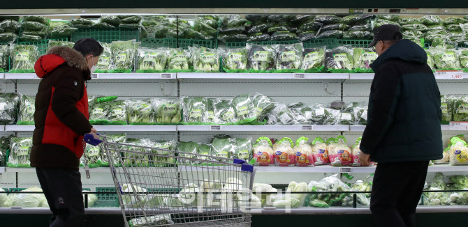 설 앞두고 채소값 크게 올라…배추 59%·무 77%↑                                                                                                                                                    