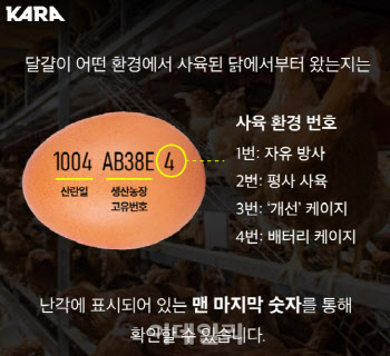 연재이미지