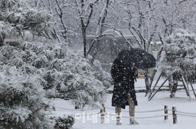 '봄인 줄 알았는데'                                                                                                                                                                      