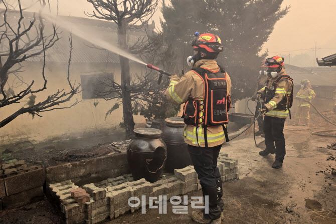 '성묘객 실화' 의성 방문한 중대본부장 "진화·피해수습 총력"