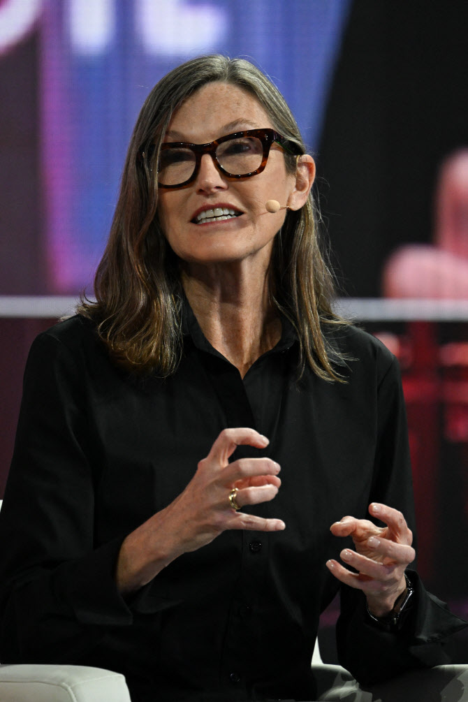 '돈나무 언니' 캐시 우드 "테슬라 5년 내 2600달러 갈 것" - 뉴스 썸네일 이미지