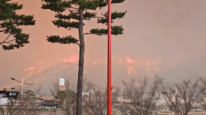 [속보]청송서 60대 여성 소사상태 발견… 경찰, 산불 사망 추정