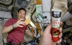 주요뉴스