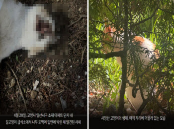 연재이미지