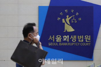 회생 인가로 9부능선 넘었다면…남은 과제는 ‘종결’