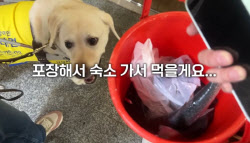 “눈물 난다”…시각장애인 ‘불꺼진 구석방’ 데려간 부산 횟집