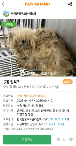 [단독]강남 한복판에 버려진 강아지 19마리..'애니멀 호더' 소행 무게