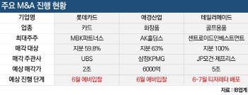 [마켓인]롯데카드부터 애경산업까지…내달 M&A 큰장 선다