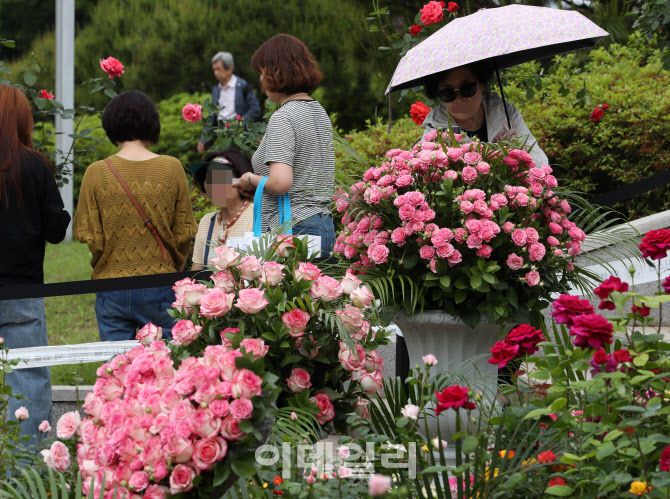  꽃이 주는 즐거움 