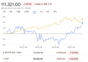 비트코인, 사상 첫 11만 달러 돌파… ‘디지털 금’ 되나