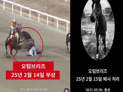 “다치면 폐사…4살 경주마의 비참한 최후”[댕냥구조대]