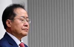 국힘 지지자 악플에 홍준표 