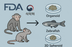FDA·식약처도 