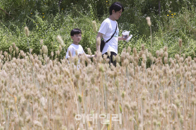 제1회 월드컵천 황금보리축제 