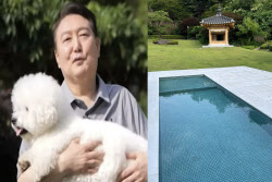 물 많이 쓴 이유가..한남동 관저 '개 수영장' 의혹